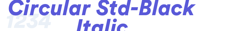 Circular Std-Black Italic